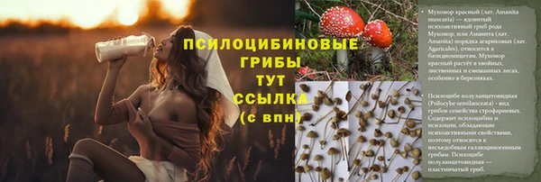 spice Волоколамск