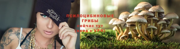 spice Волоколамск