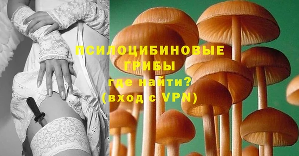 spice Волоколамск