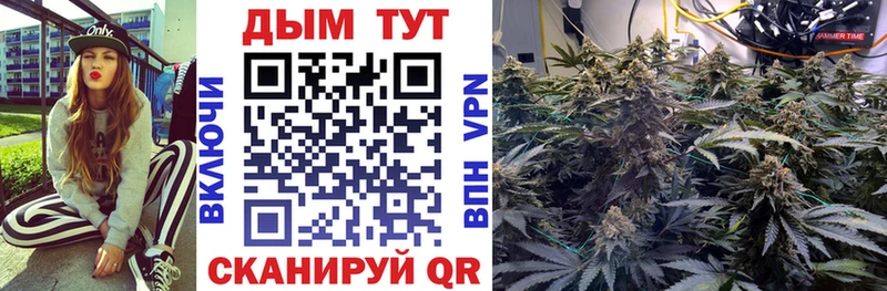 Бошки Шишки планчик  Купить закладки  Цимлянск 